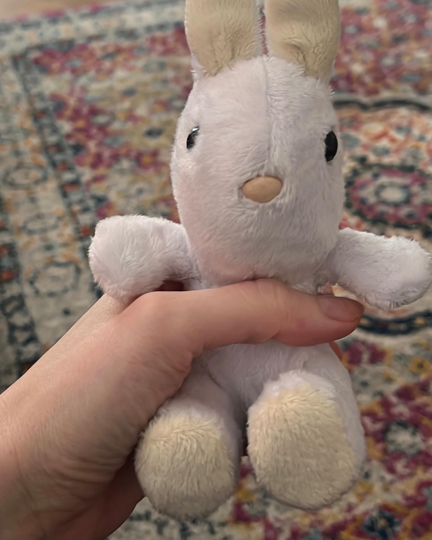 Bunny, Rachael’s well-loved childhood cuddly toy with soft, white fur.