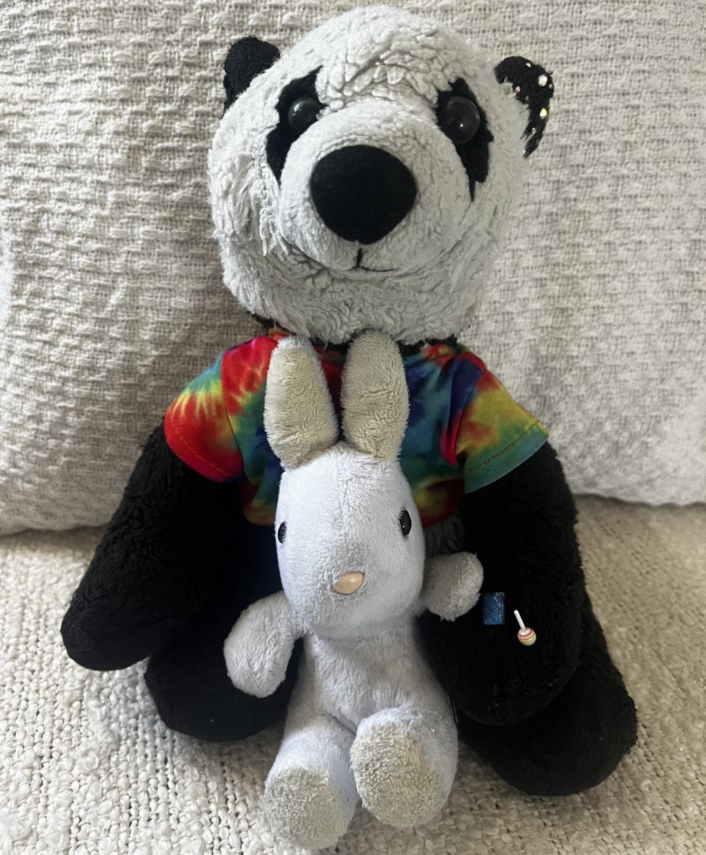 A soft toy bunny and a plush panda sitting together on a blanket. Bunny has soft white fur and Panda is wearing a colourful T-shirt. They are sat together, representing emotional support and companionship.