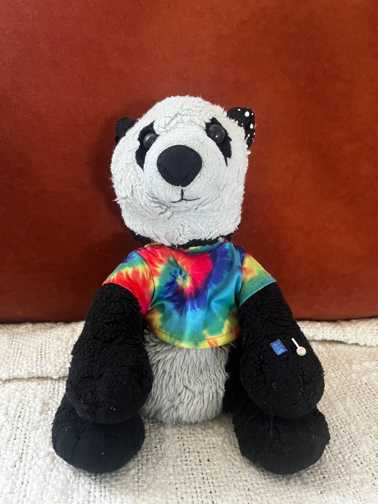 Rachael's plush cuddly toy, called Panda. He is black and white and wears a colourful t-shirt, expressing his fun personality.